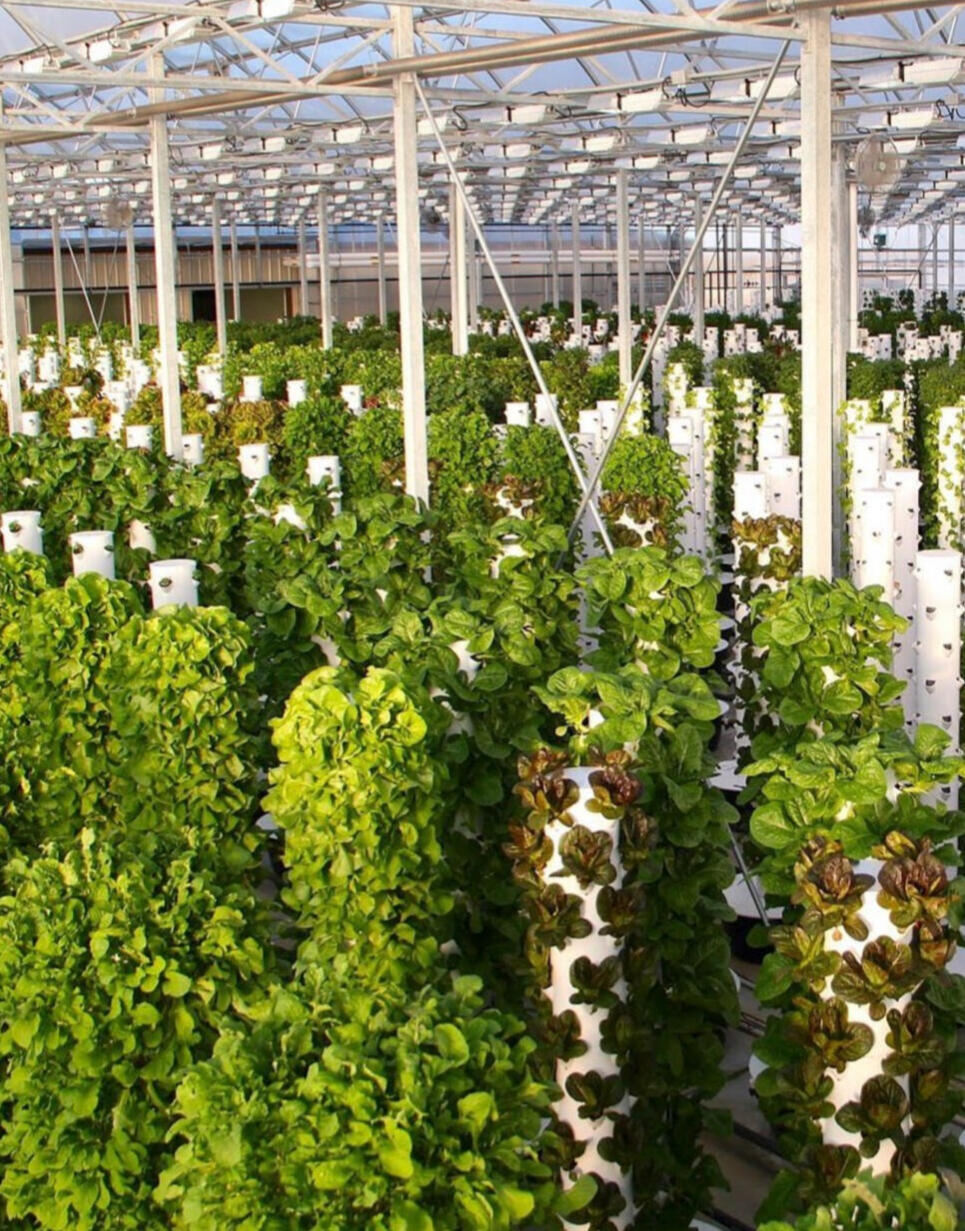 Example of a tower farm Example of a tower farm